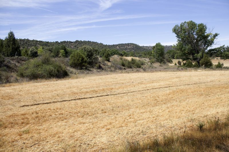 Surco de 28 mts.en dirección SO/NE. Cuenca, España. 2019.