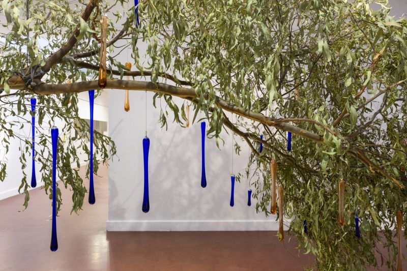 Rama seca de eucaliptus, cristal soplado y  cerámica esmaltada. 700 x 400 cm. 2023. Museo Castagnino. Rosario