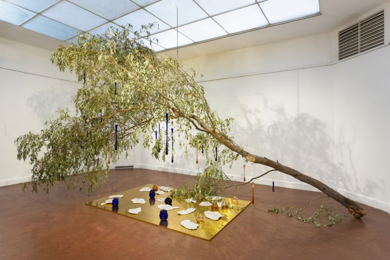 Rama seca de eucaliptus, cristal soplado y  cerámica esmaltada. 700 x 400 cm. 2023. Museo Castagnino. Rosario