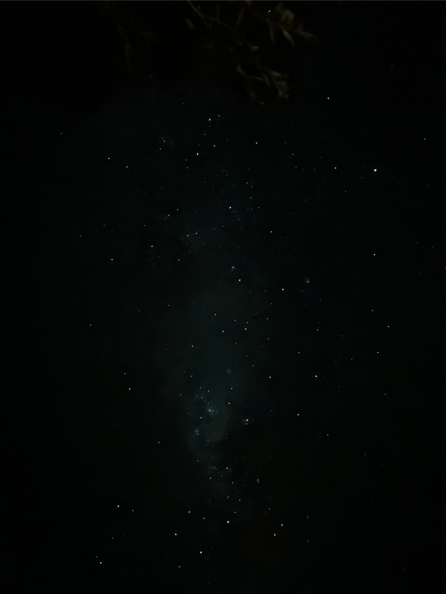 Suelo dorado | Yuyo Gardiol