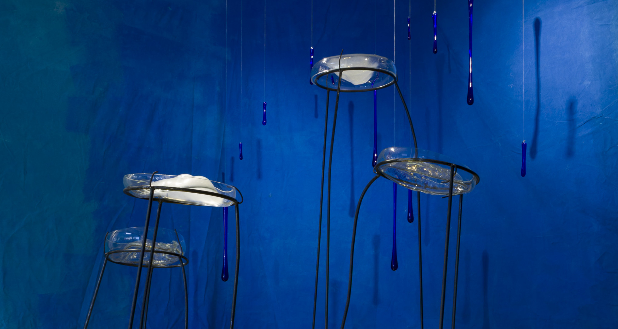 Suelo dorado | Yuyo Gardiol