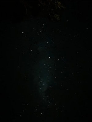 Suelo dorado | Yuyo Gardiol