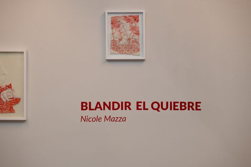 Blandir el quiebre. Registro de inauguración. De Nicole Mazza.