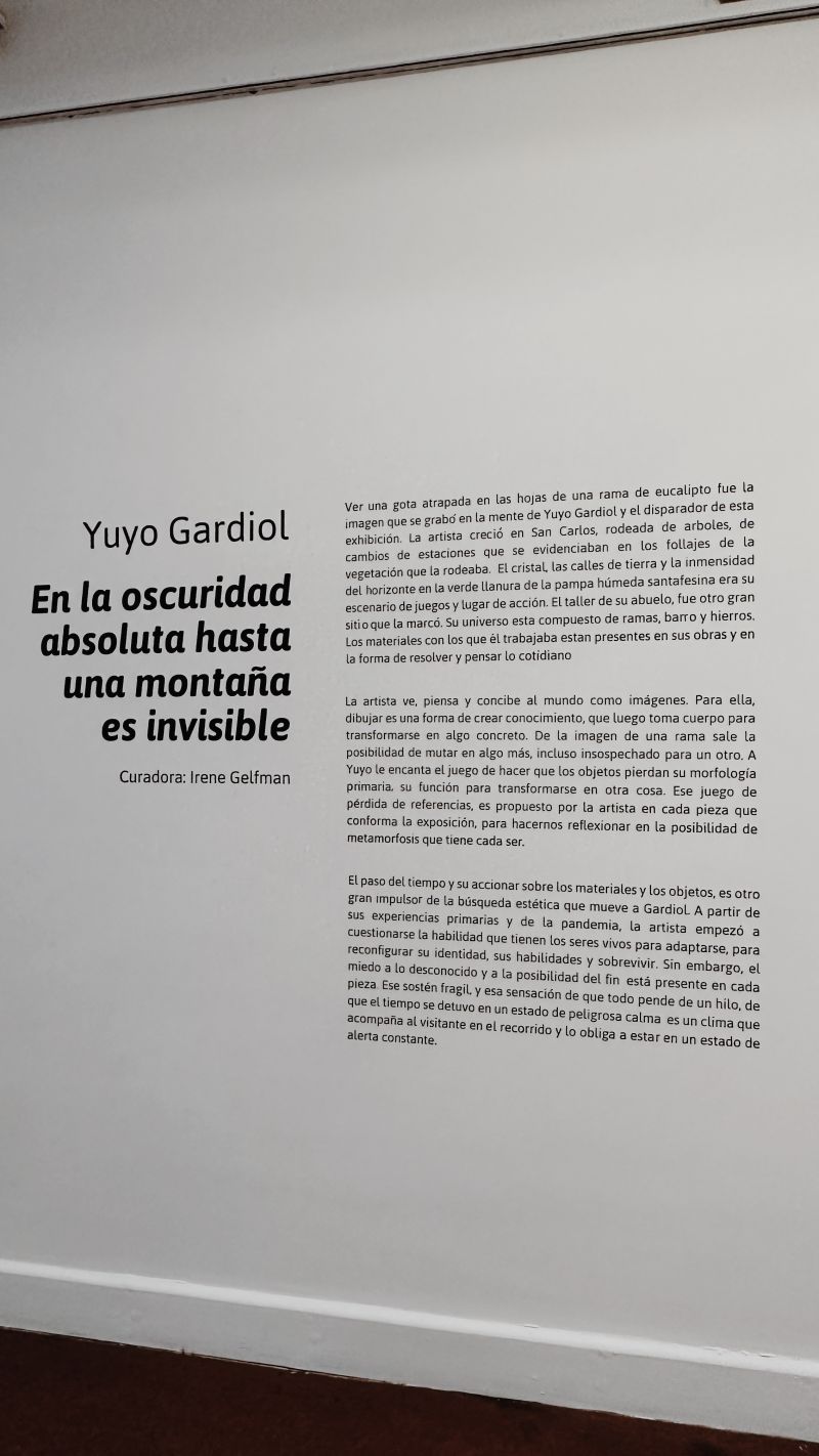 foto de texto curatorial