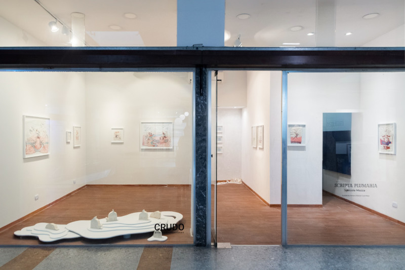 Scripta Plumaria | Nicole Mazza 