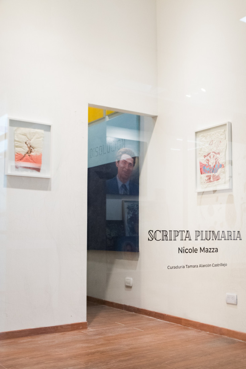 Scripta Plumaria | Nicole Mazza 