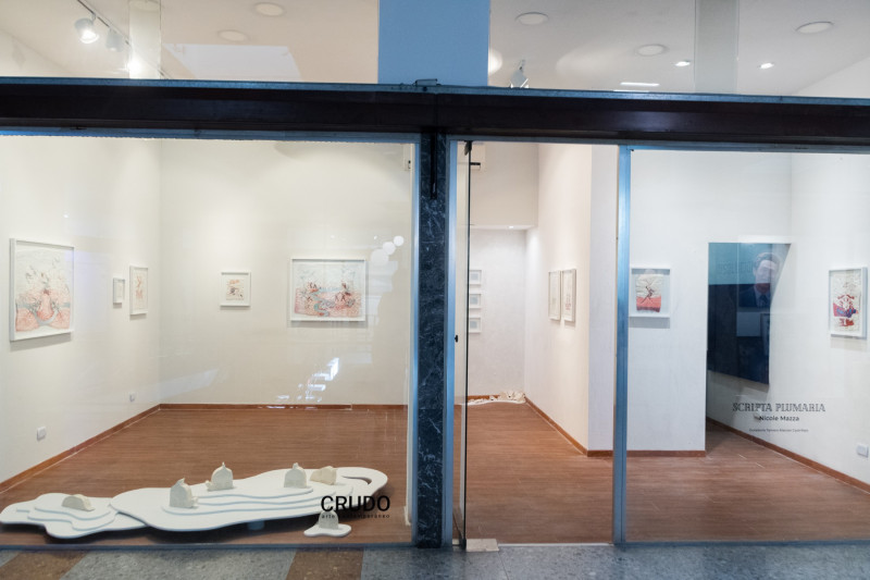 Scripta Plumaria | Nicole Mazza 