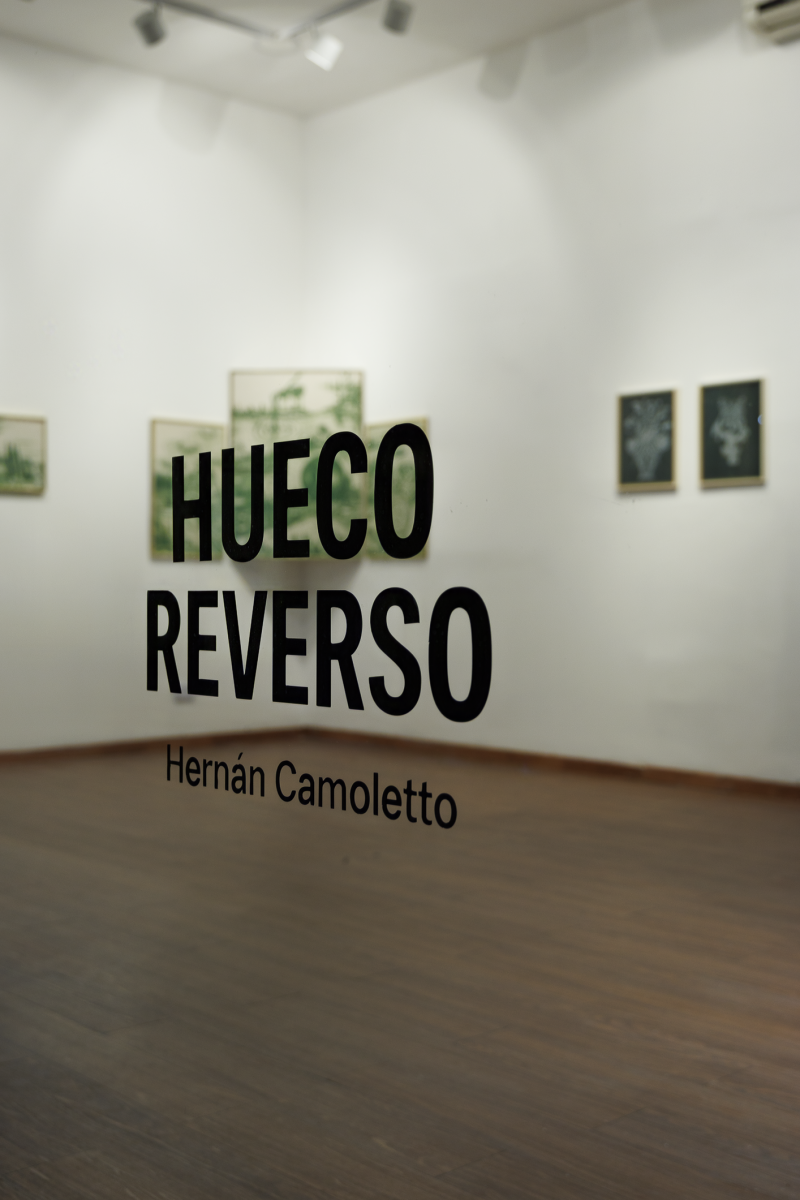 S/t de la serie “La imagen abierta" - Óleo sobre lienzo crudo - 71.5 x 46 cm - 2025