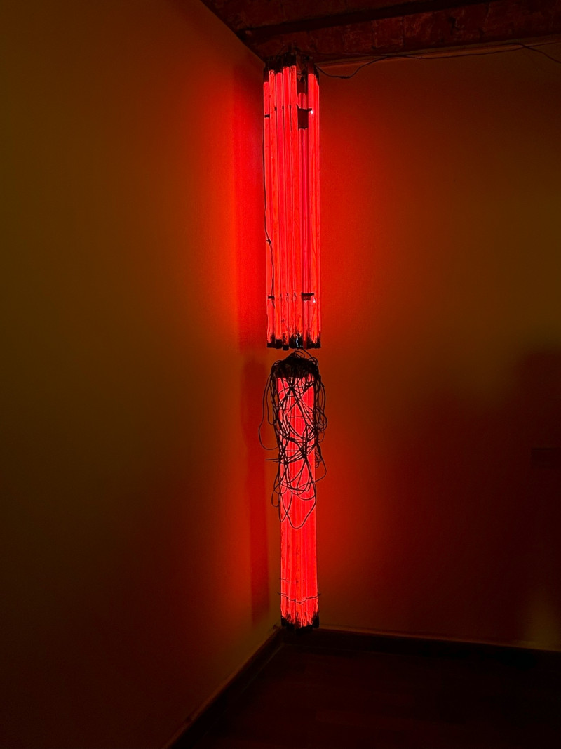  Juan Ignacio Cabruja y Juan José Cambre en Crítica de la abstracción pura | Bienalsur