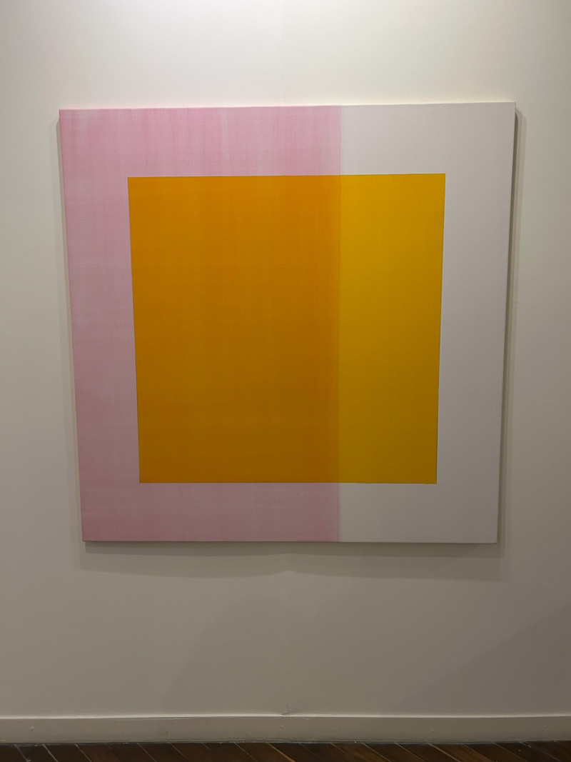  Juan Ignacio Cabruja y Juan José Cambre en Crítica de la abstracción pura | Bienalsur