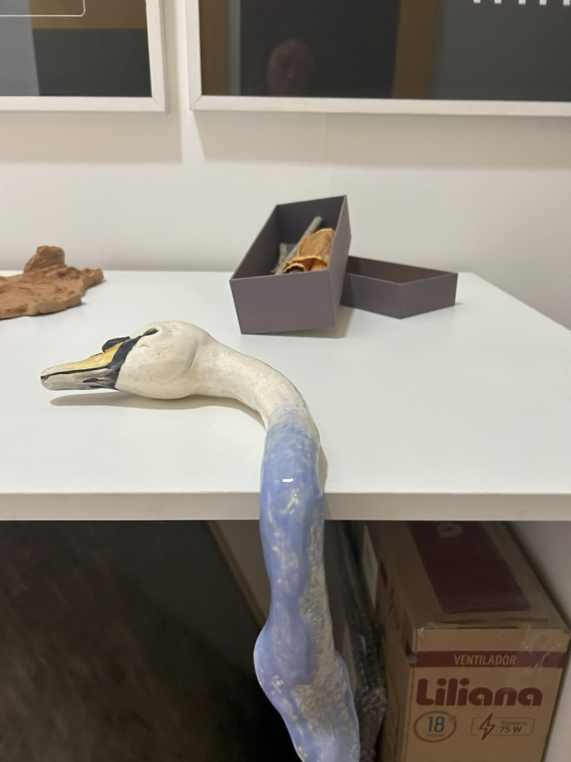 Un amado espacio de revelaciones | Rodi, Costa, Mazza, Gardiol, Téllez, Chouhy, Murillo, Diaz y Cabruja