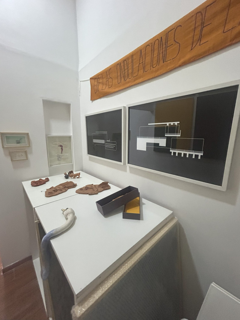 Un amado espacio de revelaciones | Rodi, Costa, Mazza, Gardiol, Téllez, Chouhy, Murillo, Diaz y Cabruja