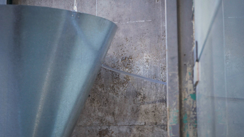 Diario de una escultura y otros relatos