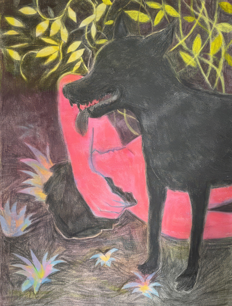 Serpiente Dorada | Ariel Costa