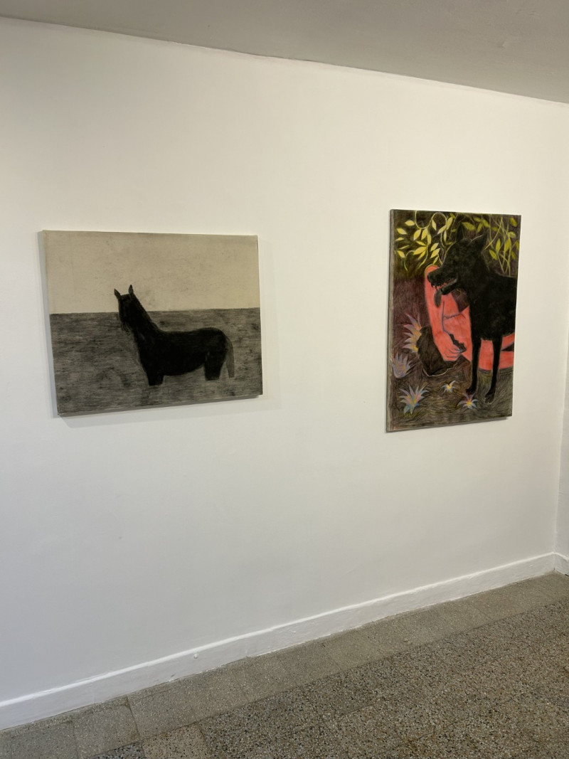 Serpiente Dorada | Ariel Costa