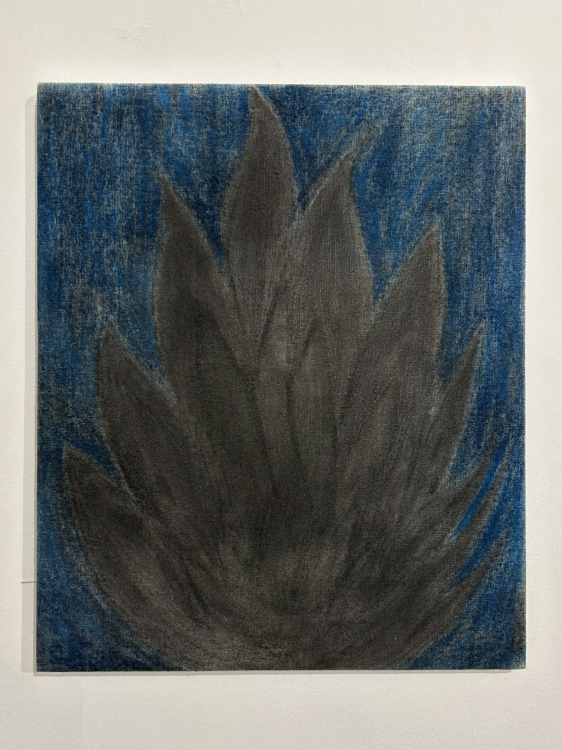 Serpiente Dorada | Ariel Costa