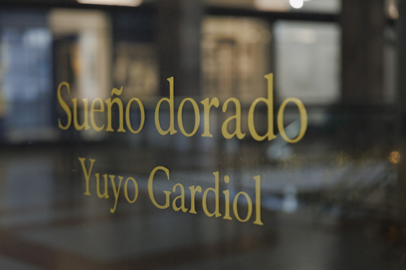 Sueño dorado. Yuyo Gardiol. 2025.