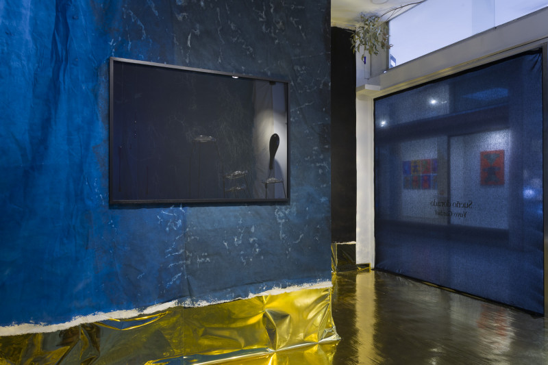 Sueño dorado. Yuyo Gardiol. 2025.