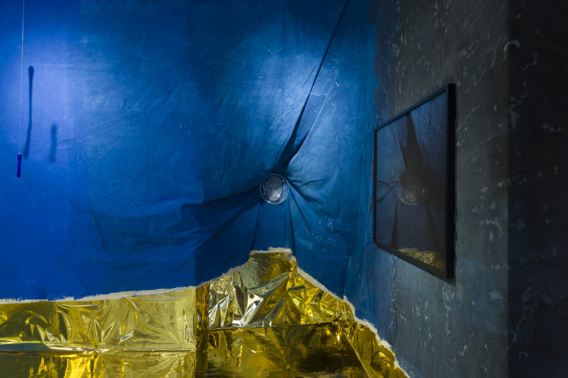 Sueño dorado. Yuyo Gardiol. 2025.