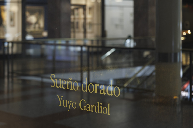 Sueño dorado. Yuyo Gardiol. 2025.