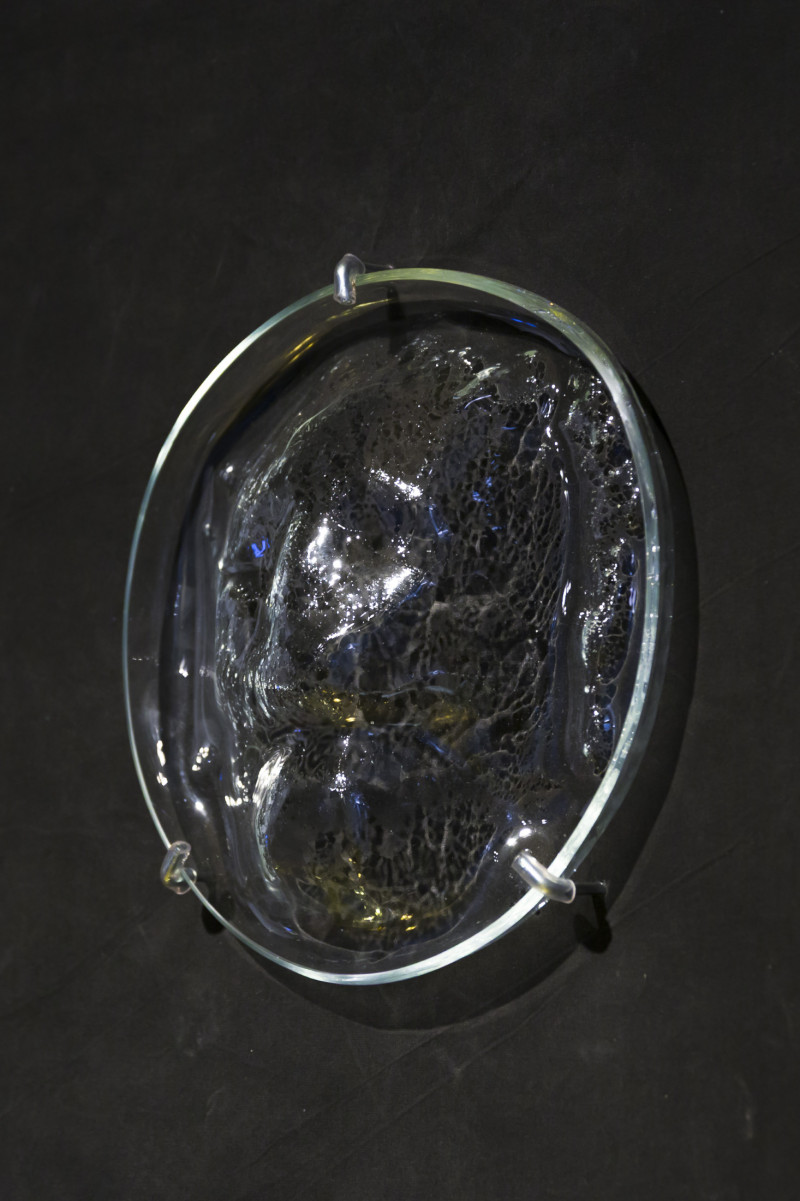 Sueño dorado. Yuyo Gardiol. 2025.